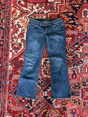 The Limited bootcut jean 6 Short